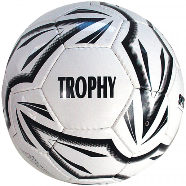 Fotbalový míč SPARTAN Trophy 4
